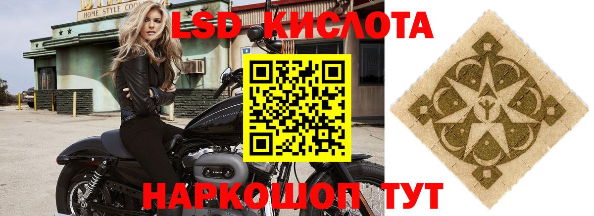 Гатчина  Лсд 25 экстази  Вход с VPN  Лсд 25 экстази ecstasy 