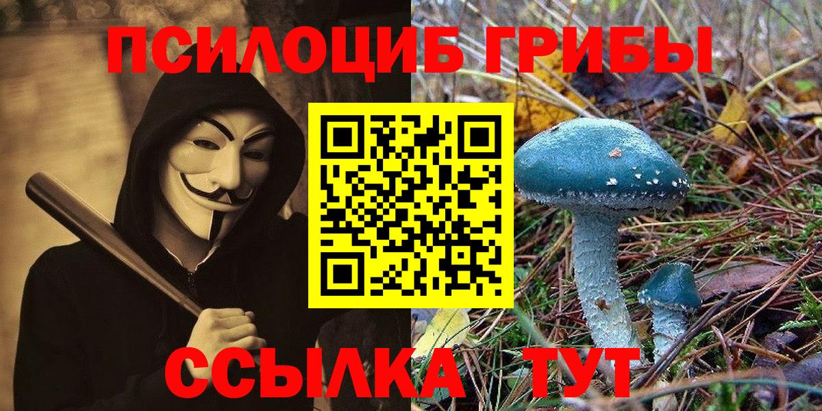 Псилоцибиновые грибы Psilocybe  Псилоцибиновые грибы ЛСД  Вход с VPN  Гатчина 