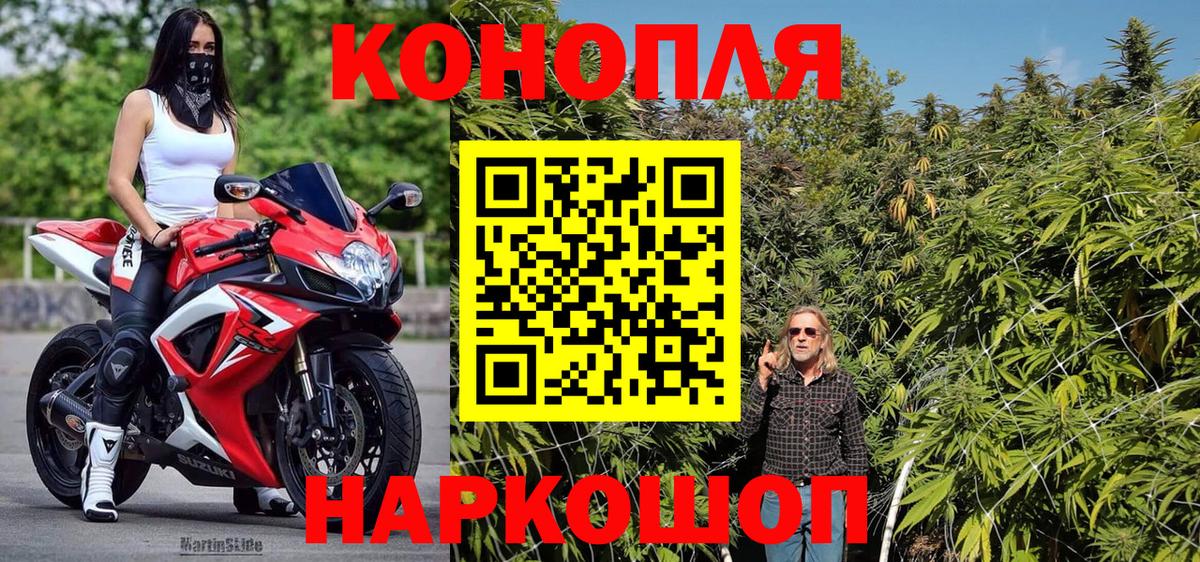 Конопля план Гатчина
